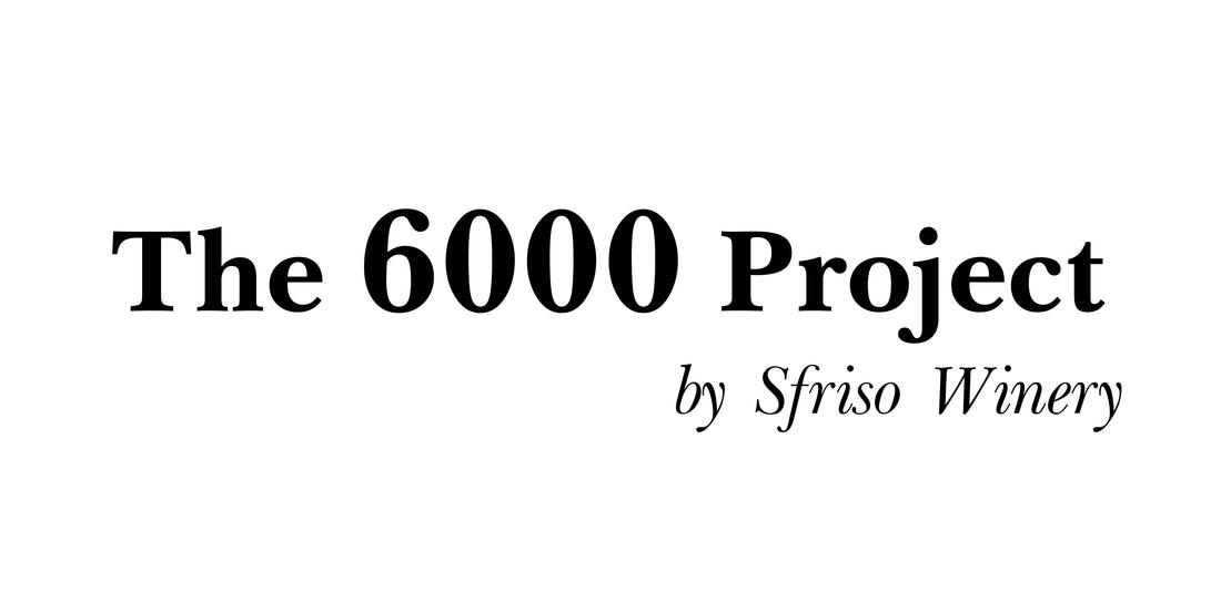 Start des Projekts 6000